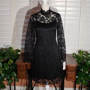 Provocative, Prosecco, lace dress. Size 6.